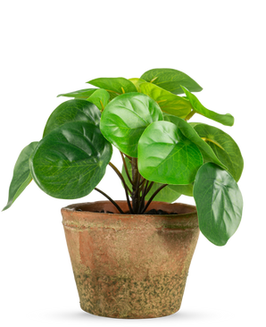 La planta artificial Pilea en maceta mini UV de 15 cm tiene hojas redondas de color verde brillante en una maceta de terracota de color marrón desgastado, sobre un fondo blanco liso.