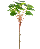Una planta de panqueque artificial Pilea de 50 cm con un tallo delgado de color marrón, tallos largos de color rojizo y hojas verdes grandes y redondas se muestra sobre un fondo blanco liso.