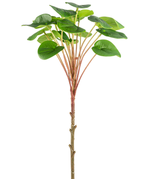 Una planta de panqueque artificial Pilea de 50 cm con un tallo delgado de color marrón, tallos largos de color rojizo y hojas verdes grandes y redondas se muestra sobre un fondo blanco liso.