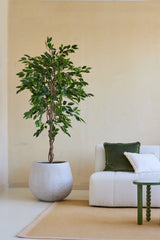 Una Planta Artificial Ficus Green 180 cm en maceta decorativa se encuentra junto a un sofá tapizado blanco con cojines verdes y blancos y una mesita verde, en un salón minimalista con paredes neutras y una alfombra beige.