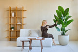 Una mujer con un vestido marrón sentada en un sofá blanco, sonríe y sostiene una bebida mientras toca la Planta Artificial Strelitzia Real Touch Deluxe 180 cm en un salón moderno y minimalista con estantes de madera y una mesa de centro.