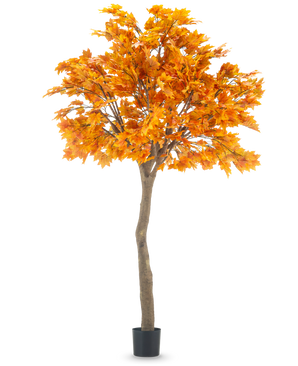 El Arce Árbol Artificial de 280 cm es un arce artificial alto con hojas otoñales de color naranja vibrante en una maceta negra, aislado sobre un fondo blanco.