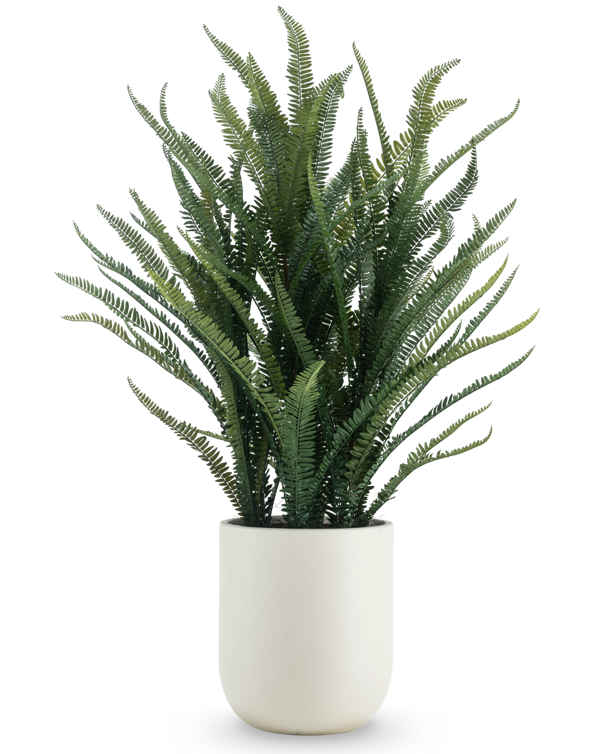 El helecho Boston artificial de 127 cm tiene hojas verdes largas y estrechas que crecen hacia arriba y hacia afuera. Ella está de pie en una elegante maceta blanca sobre un fondo blanco liso.