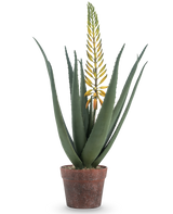 La planta de Aloe Artificial con Flor 66 cm es un aloe vera artificial en maceta con hojas largas y gruesas de color verde y una larga rama de flor amarilla, aislada sobre un fondo blanco.