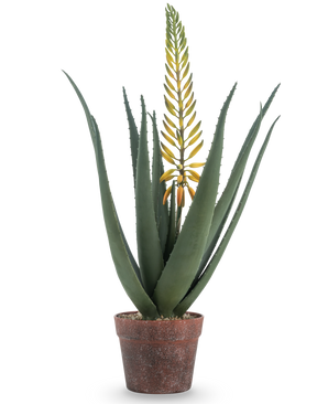 La planta de Aloe Artificial con Flor 66 cm es un aloe vera artificial en maceta con hojas largas y gruesas de color verde y una larga rama de flor amarilla, aislada sobre un fondo blanco.