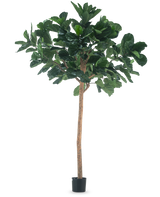 La Planta de Tabaco Árbol Artificial de 260 cm es una planta artificial alta con exuberantes hojas verdes y un esbelto tronco marrón, en una maceta negra compacta y sobre un fondo blanco liso.