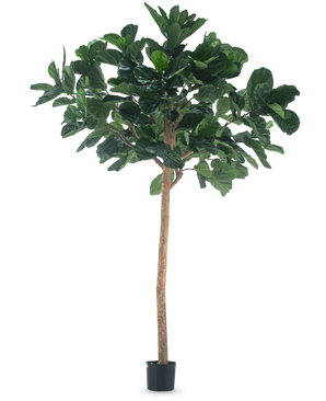 La Planta de Tabaco Árbol Artificial de 260 cm es una planta artificial alta con exuberantes hojas verdes y un esbelto tronco marrón, en una maceta negra compacta y sobre un fondo blanco liso.