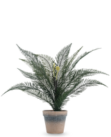 Planta artificial Helecho fénix de 39 cm en una sencilla maceta de terracota desgastada con exuberantes hojas verdes plumosas sobre un fondo blanco liso.