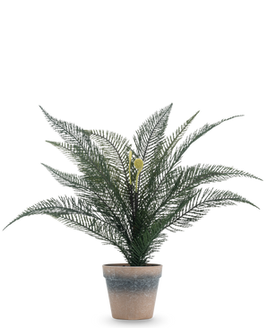 Planta artificial Helecho fénix de 39 cm en una sencilla maceta de terracota desgastada con exuberantes hojas verdes plumosas sobre un fondo blanco liso.