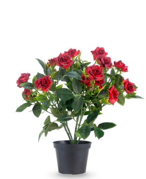 Una planta artificial para jardín de rosas de 35 cm en rojo/negro presenta vibrantes rosas artificiales de color rojo con exuberantes hojas verdes en una maceta negra, sobre un fondo blanco liso.