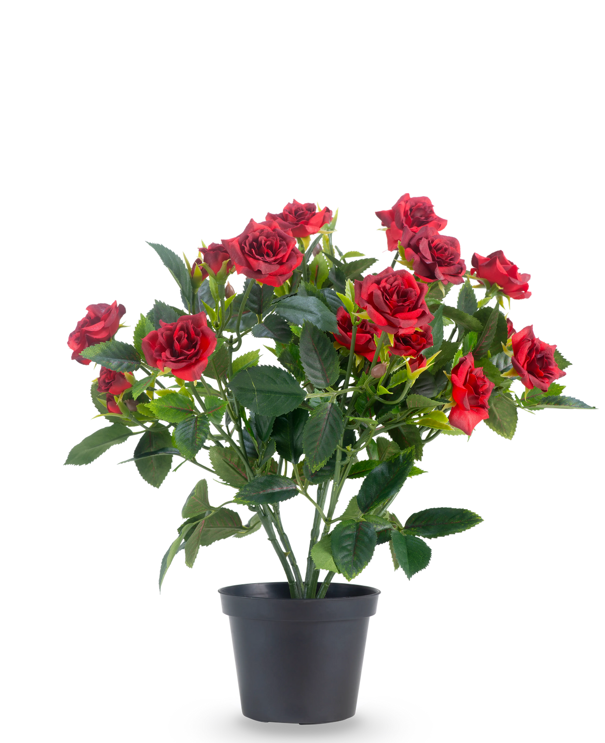 Una planta artificial para jardín de rosas de 35 cm en rojo/negro presenta vibrantes rosas artificiales de color rojo con exuberantes hojas verdes en una maceta negra, sobre un fondo blanco liso.