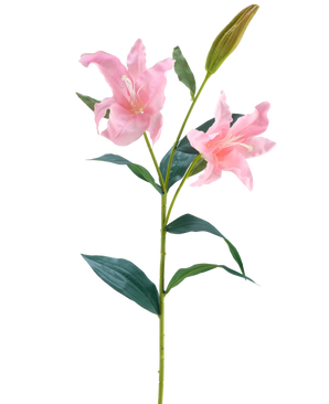 La flor artificial Lirio Real Touch rosa de 95 cm tiene un único tallo verde con dos lirios rosas en flor y un capullo cerrado, rodeado de hojas verdes largas y puntiagudas, sobre un fondo blanco.