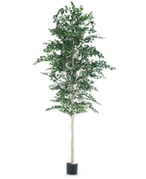 El Árbol Berke Artificial 300 cm es un árbol con hojas.