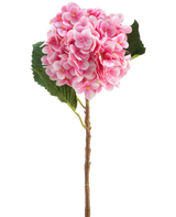 La Flor Artificial Hortensia Real Touch rosa 58 cm es un único tallo de hortensia artificial rosa con hojas verdes, con una floración redonda de muchos pétalos pequeños, bellamente detallados y aislados sobre un fondo blanco.