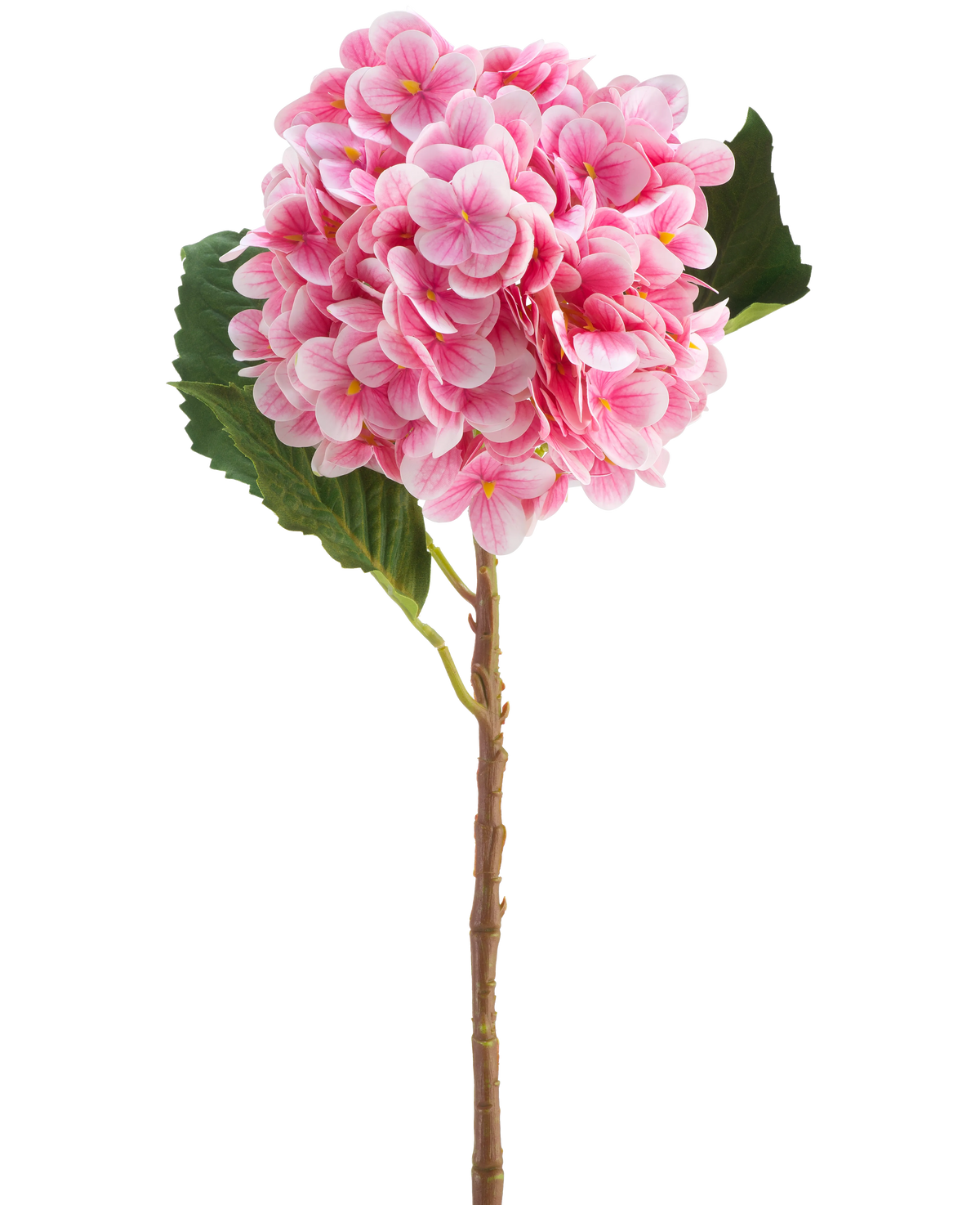 La Flor Artificial Hortensia Real Touch rosa 58 cm es un único tallo de hortensia artificial rosa con hojas verdes, con una floración redonda de muchos pétalos pequeños, bellamente detallados y aislados sobre un fondo blanco.