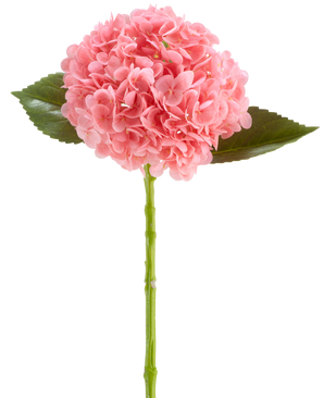 La Flor Artificial Charlotte Hydrangea Real Touch rosa oscuro es una flor de hortensia artificial de 55 cm de largo, con un racimo redondo de pétalos de color rosa oscuro y hojas verdes sobre un tallo largo, aislada sobre un fondo blanco.