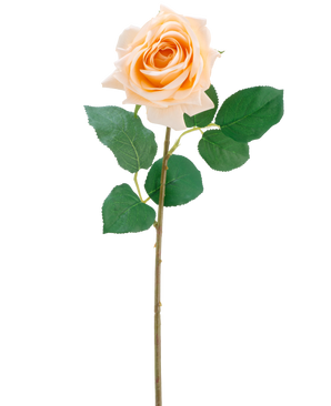 La flor artificial Crystal touch rosa hidratante Real Touch en champán es una única rosa artificial con hojas verdes en un tallo delgado de 43 cm de largo, representada sobre un fondo blanco liso.