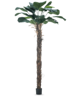 Planta Artificial Licuala Grandis Palmera artificial de 220 cm con hojas grandes.