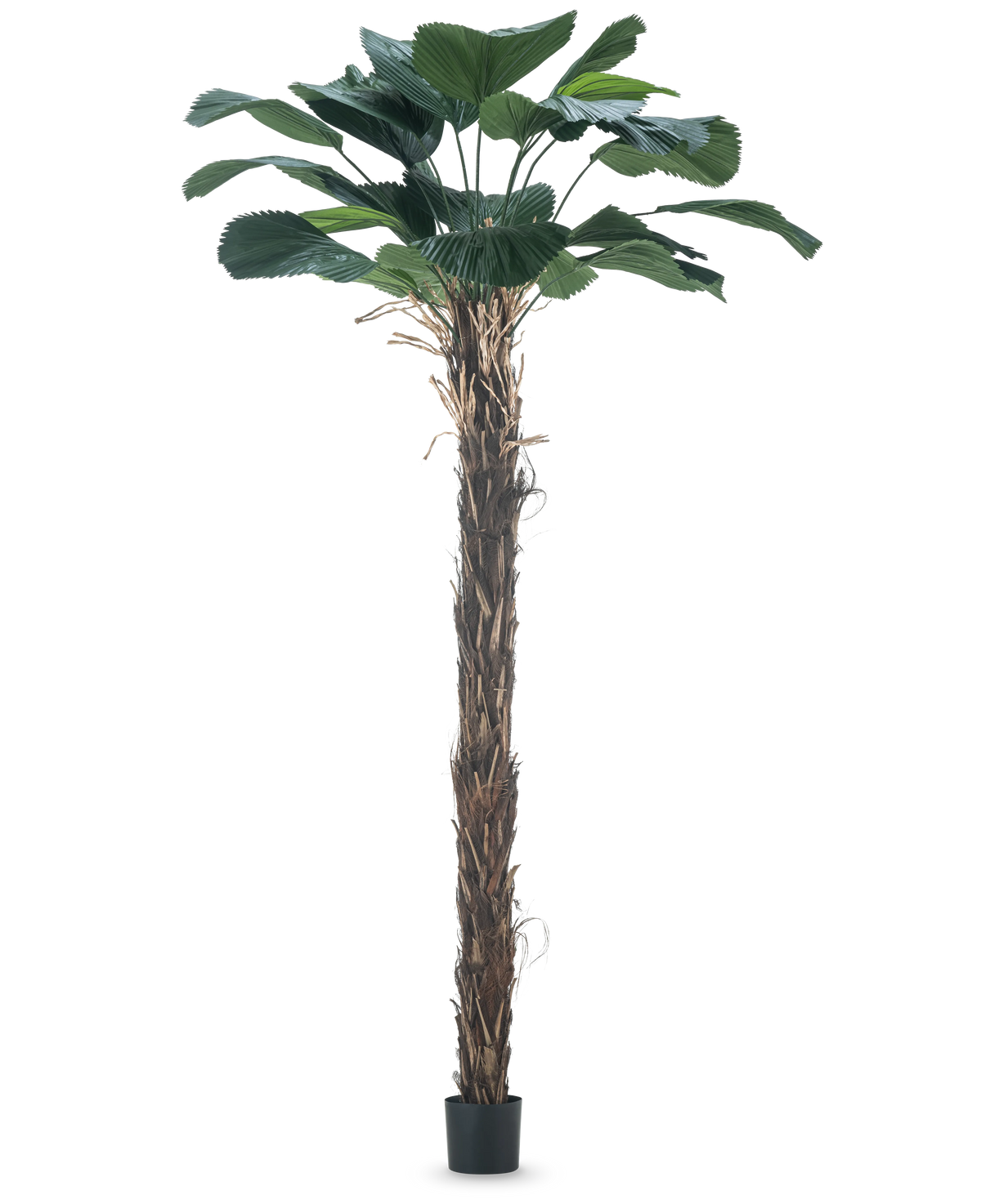 Planta Artificial Licuala Grandis Palmera artificial de 220 cm con hojas grandes.