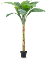El plátano artificial de 180 cm tiene hojas anchas de color verde y un tallo estructurado en una pequeña maceta negra, sobre un fondo blanco liso.
