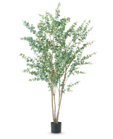 La Planta Artificial Eucalipto de 240 cm es una planta artificial alta con múltiples tallos leñosos delgados y hojas verdes redondas, expuesta en una sencilla maceta negra sobre un fondo blanco liso.