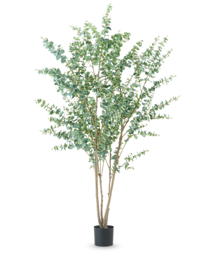 La Planta Artificial Eucalipto de 240 cm es una planta artificial alta con múltiples tallos leñosos delgados y hojas verdes redondas, expuesta en una sencilla maceta negra sobre un fondo blanco liso.