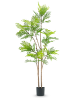 La planta de helecho artificial de 210 cm es una planta artificial alta con múltiples tallos delgados de color marrón y exuberantes hojas verdes parecidas a las de un helecho, sobre un fondo blanco liso.