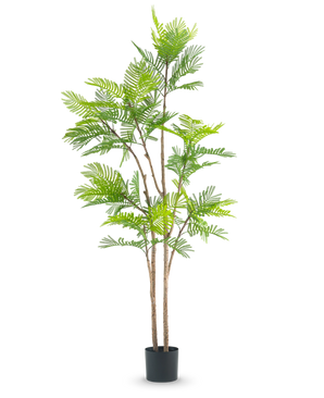 La planta de helecho artificial de 210 cm es una planta artificial alta con múltiples tallos delgados de color marrón y exuberantes hojas verdes parecidas a las de un helecho, sobre un fondo blanco liso.