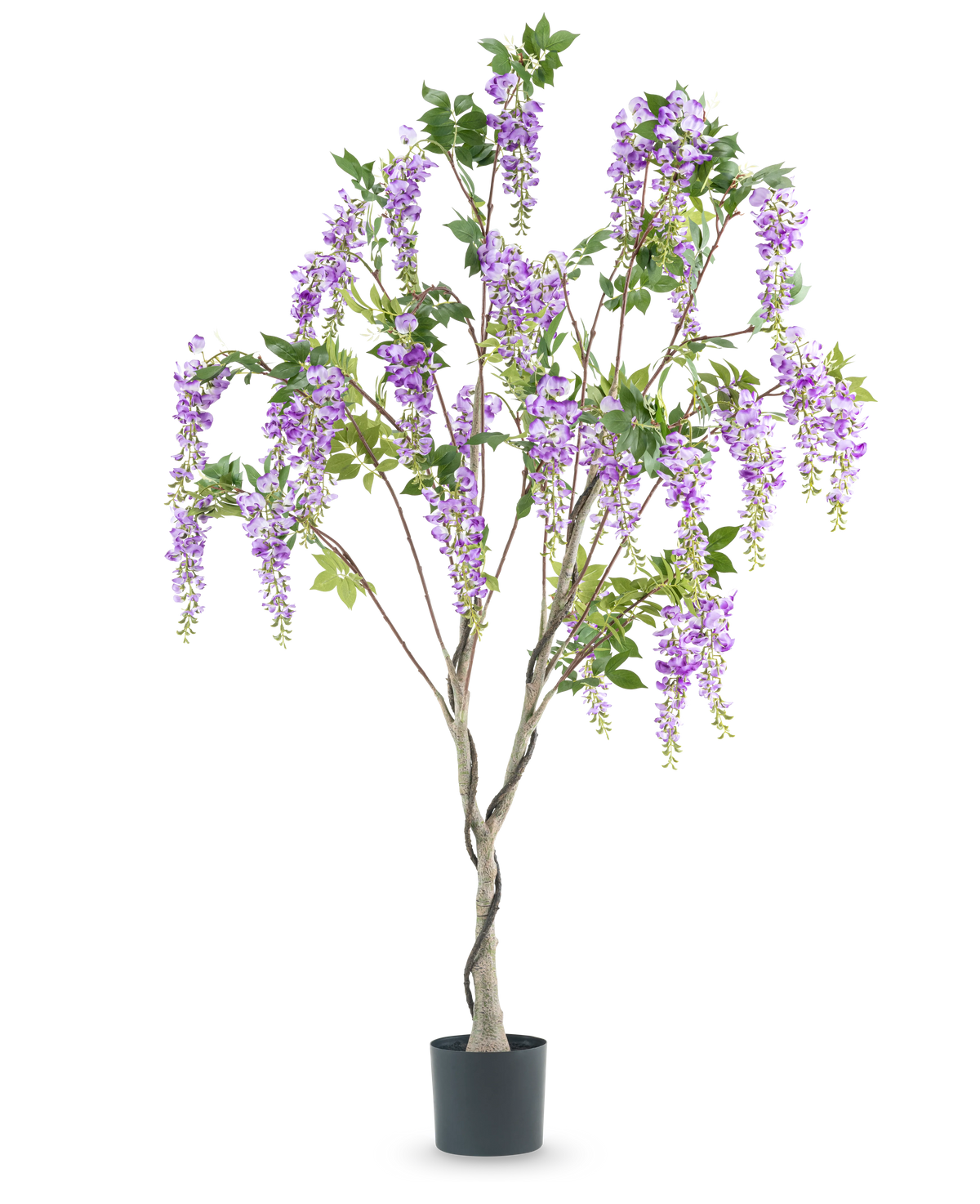 La planta Wisteria artificial de 180 cm tiene un tronco retorcido con ramos realistas de flores violetas y hojas verdes sobre un fondo blanco.