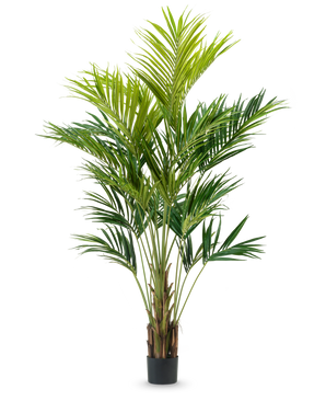 La planta artificial Kentia Palm de 270 cm tiene múltiples tallos delgados y hojas verdes largas y arqueadas en un diseño de maceta alta, sobre un fondo blanco liso.
