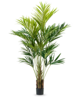 La planta artificial Kentia Palm de 270 cm tiene múltiples tallos delgados y hojas verdes largas y arqueadas en un diseño de maceta alta, sobre un fondo blanco liso.