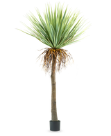 La planta de yuca artificial de 153 cm tiene un tronco alto y rugoso de color marrón con hojas verdes puntiagudas en la parte superior y algunas hojas secas en la parte inferior, sobre un fondo blanco liso.