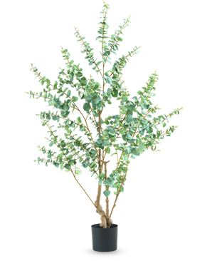 La Planta Artificial Eucalipto 180 cm es una planta artificial alta con ramas delgadas y hojas verdes redondas, expuesta en una sencilla maceta negra sobre un fondo blanco.