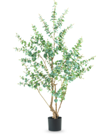 La Planta Artificial Eucalipto 180 cm es una planta artificial alta con ramas delgadas y hojas verdes redondas, expuesta en una sencilla maceta negra sobre un fondo blanco.