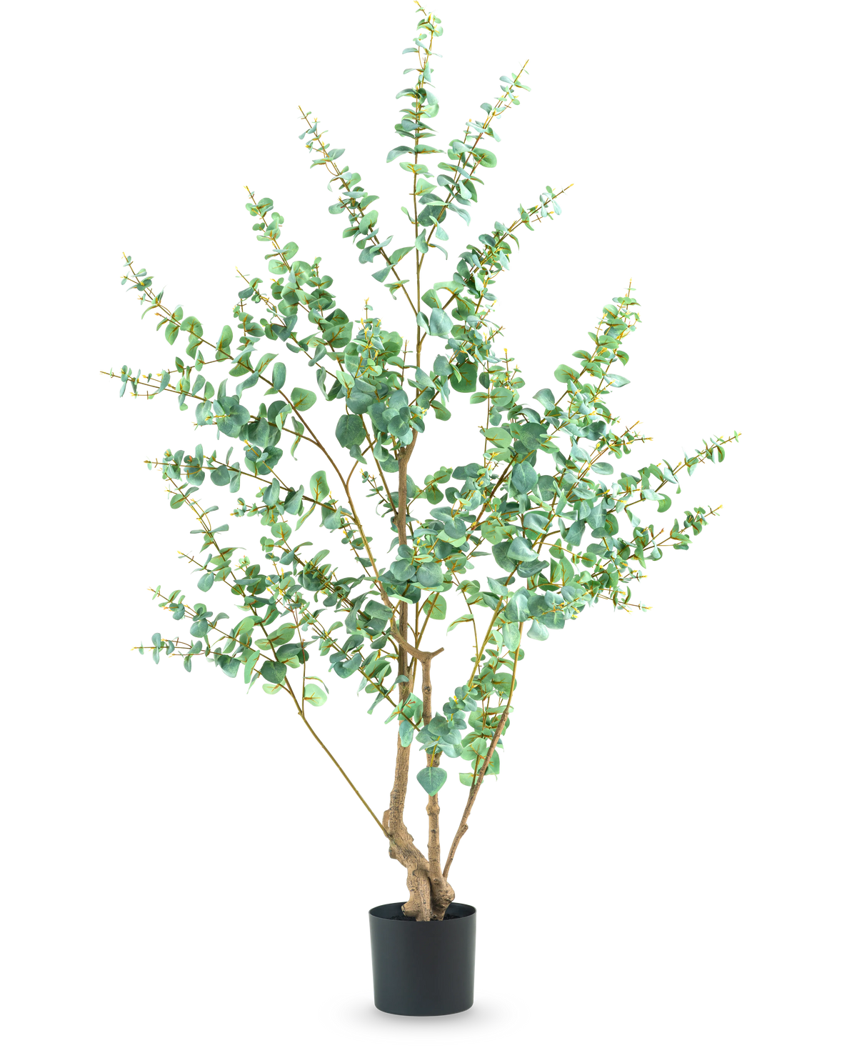 La Planta Artificial Eucalipto 180 cm es una planta artificial alta con ramas delgadas y hojas verdes redondas, expuesta en una sencilla maceta negra sobre un fondo blanco.