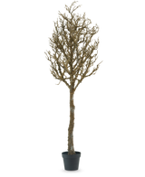 El árbol decorativo Art con ramas de 180 cm es un árbol desnudo, sin hojas, con muchas ramas en una maceta de plástico negra, sobre un fondo blanco liso.