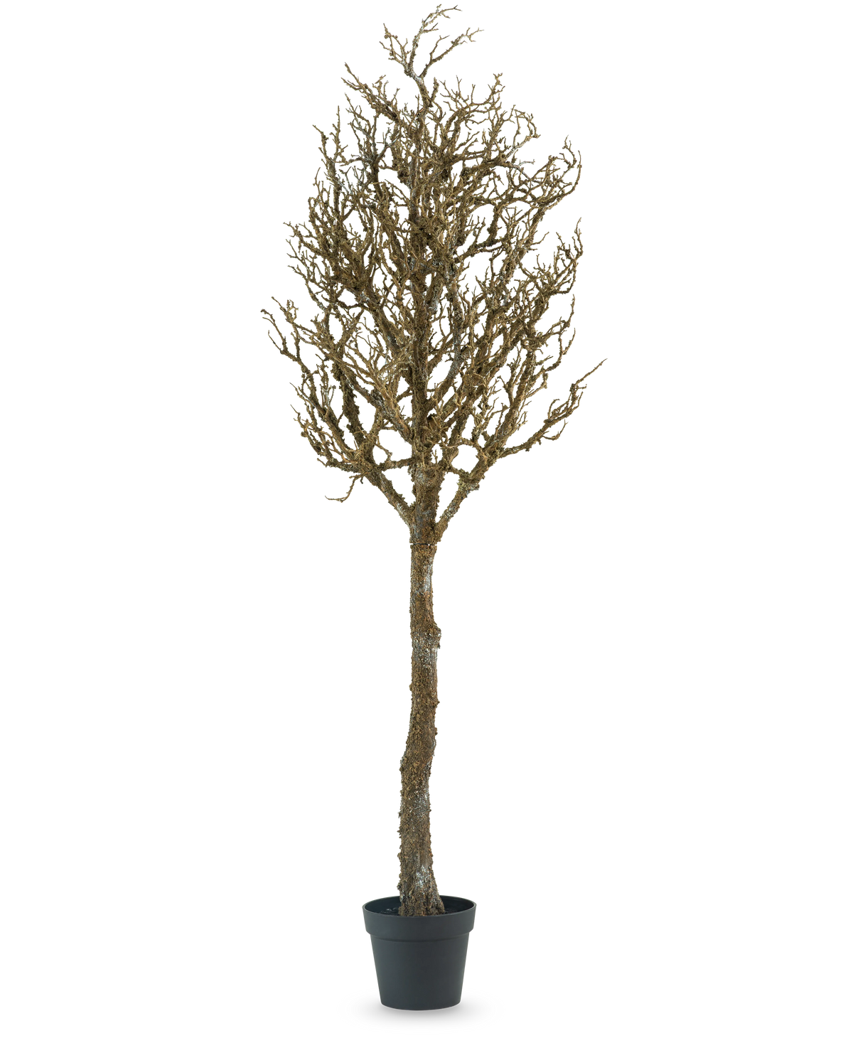 El árbol decorativo Art con ramas de 180 cm es un árbol desnudo, sin hojas, con muchas ramas en una maceta de plástico negra, sobre un fondo blanco liso.