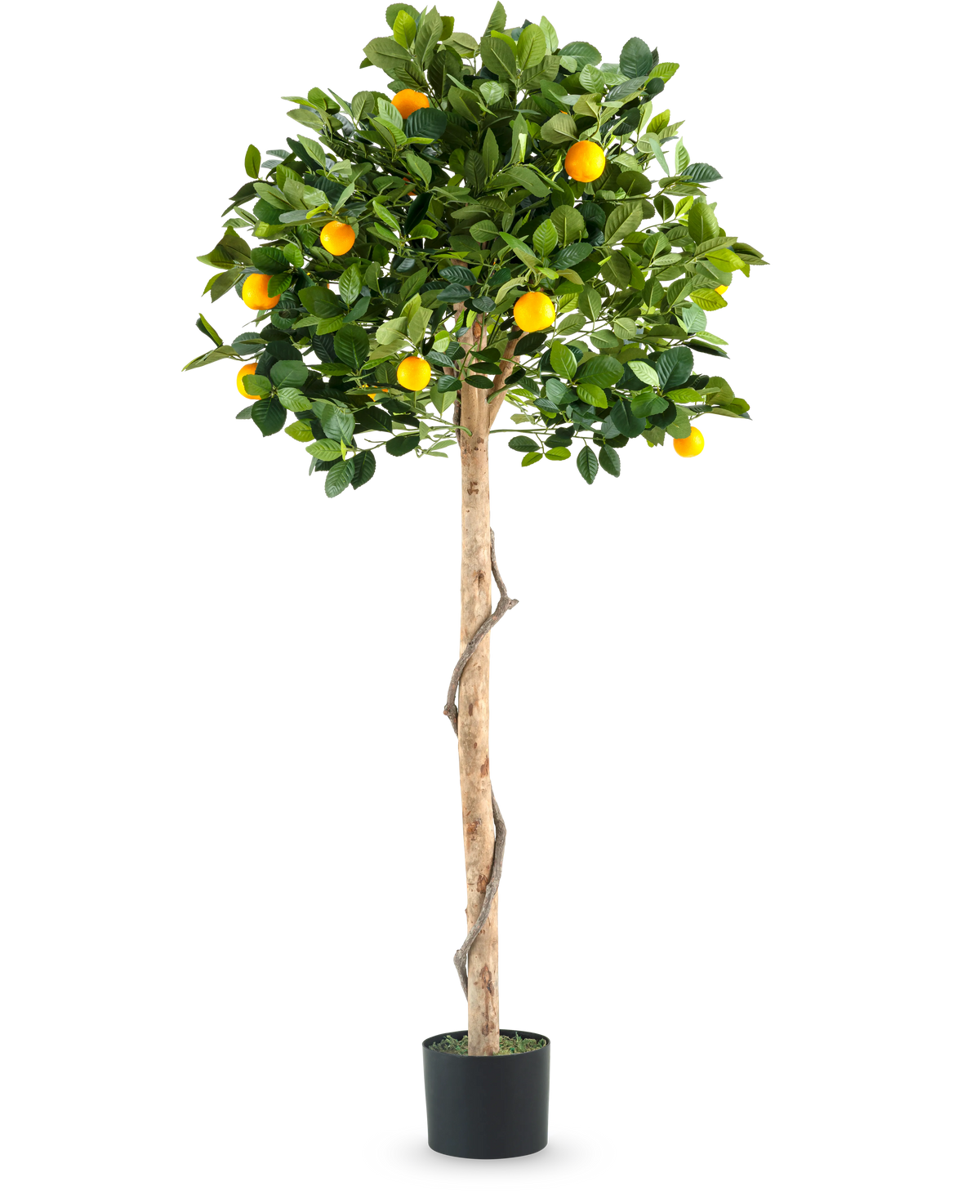 Una planta artificial de naranjo con un solo tronco de 150 cm en maceta con un tronco delgado, hojas de color verde vibrante y frutos de color naranja realistas, fotografiado sobre un fondo blanco liso.