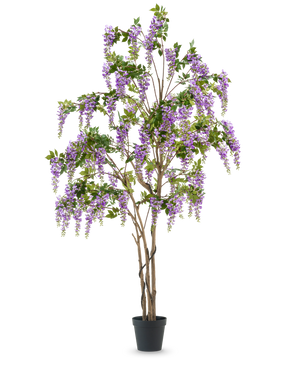 La planta de glicina artificial de 280 cm es un árbol de glicina artificial alto en una maceta negra, con múltiples troncos esbeltos de color marrón y flores en cascada de color púrpura con hojas verdes, sobre un fondo blanco liso.
