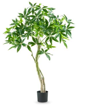 La Planta Artificial Pachira 150 cm es una planta de interior alta en maceta con varios troncos delgados y manojos de hojas anchas y brillantes de color verde sobre un fondo blanco liso.
