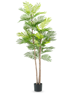 La planta de Helecho Artificial de 150 cm es una planta artificial alta con tallos delgados de color marrón y hojas verdes parecidas a un helecho, en una pequeña maceta negra sobre un fondo blanco liso.