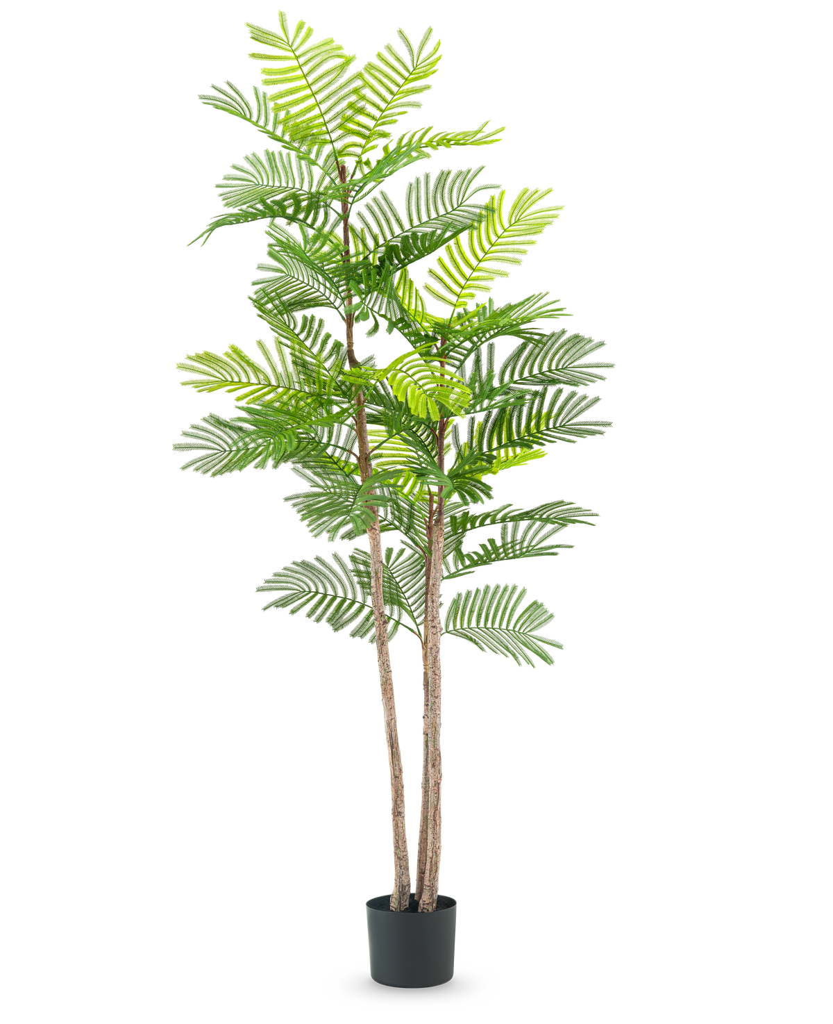 La planta de Helecho Artificial de 150 cm es una planta artificial alta con tallos delgados de color marrón y hojas verdes parecidas a un helecho, en una pequeña maceta negra sobre un fondo blanco liso.