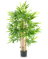 La Planta Artificial Bambú 120 cm es un bambú alto en una maceta con varios tallos finos de color amarillento y muchas hojas verdes, largas y estrechas, sobre un fondo blanco liso.