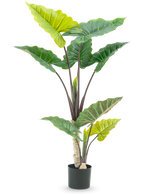 La planta artificial Calocasia de 150 cm tiene hojas grandes y anchas de color verde y robustos tallos marrones en un diseño de maceta alta, sobre un fondo blanco.
