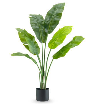 La Planta Artificial Strelitzia Nicolai Deluxe 120 cm es una lujosa planta de interior con hojas grandes y anchas en una sencilla maceta negra, elegante sobre un fondo blanco.