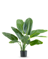 La Planta Artificial Strelitzia Real Touch Deluxe 90 cm es una planta alta en maceta con hojas grandes de color verde brillante, representadas sobre un fondo blanco liso.