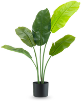 La Planta Artificial Strelitzia Nicolai Deluxe 90 cm tiene hojas grandes de color verde brillante en tallos largos y se presenta en una sencilla maceta negra sobre un fondo blanco liso.
