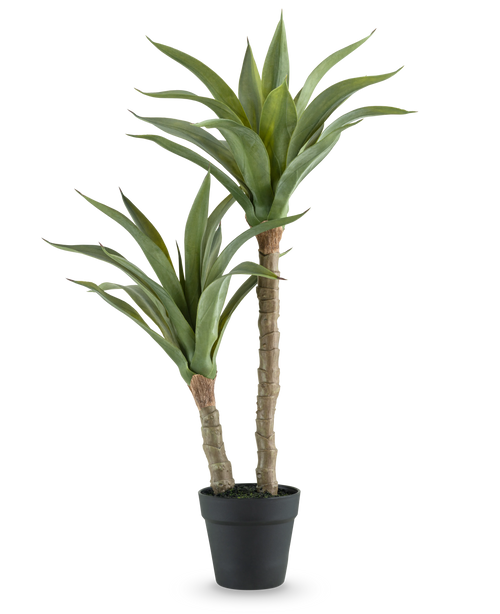 La planta artificial Agave de 76 cm tiene dos tallos largos y gruesos con hojas verdes largas y puntiagudas en una maceta negra, sobre un fondo blanco liso.