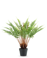 La Planta Artificial Helecho 66 cm es un helecho artificial en maceta con hojas verdes largas y esponjosas y tallos marrones, sobre un fondo blanco liso.