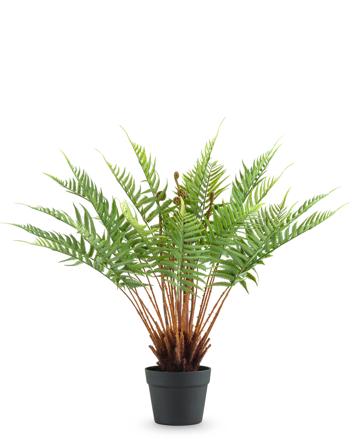 La Planta Artificial Helecho 66 cm es un helecho artificial en maceta con hojas verdes largas y esponjosas y tallos marrones, sobre un fondo blanco liso.